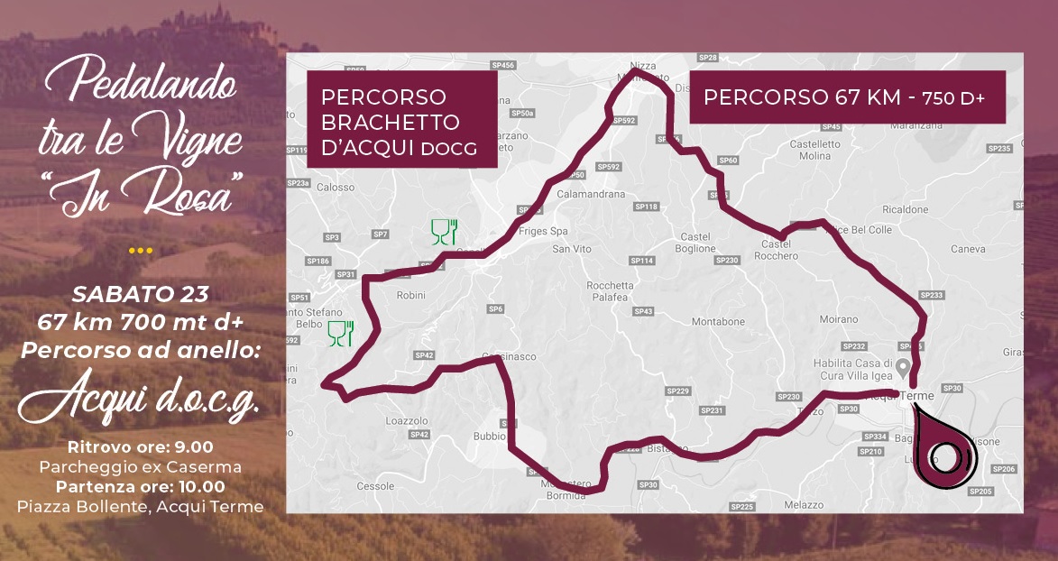 Il 23 e 24 ottobre si pedala tra i paesaggi vitivinicoli di Langhe-Roero e Monferrato