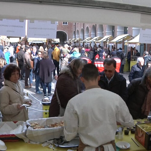 Cosa fare in provincia di Alessandria. Gli eventi di domenica 12 novembre