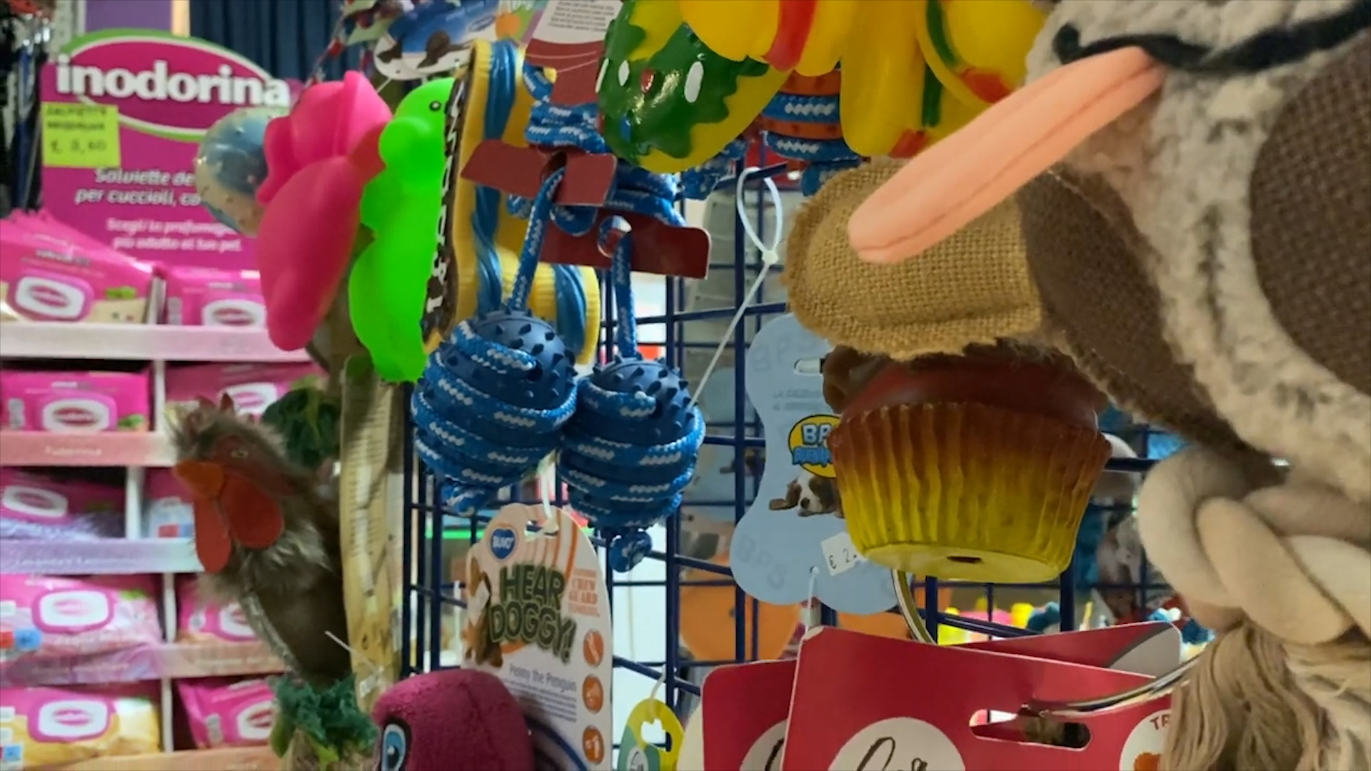 Non Abbandonarmi: alle 12.20 su Radio Gold Tv i giochi di Fido Clean e la cena al Don Stornini per Cascina Rosa