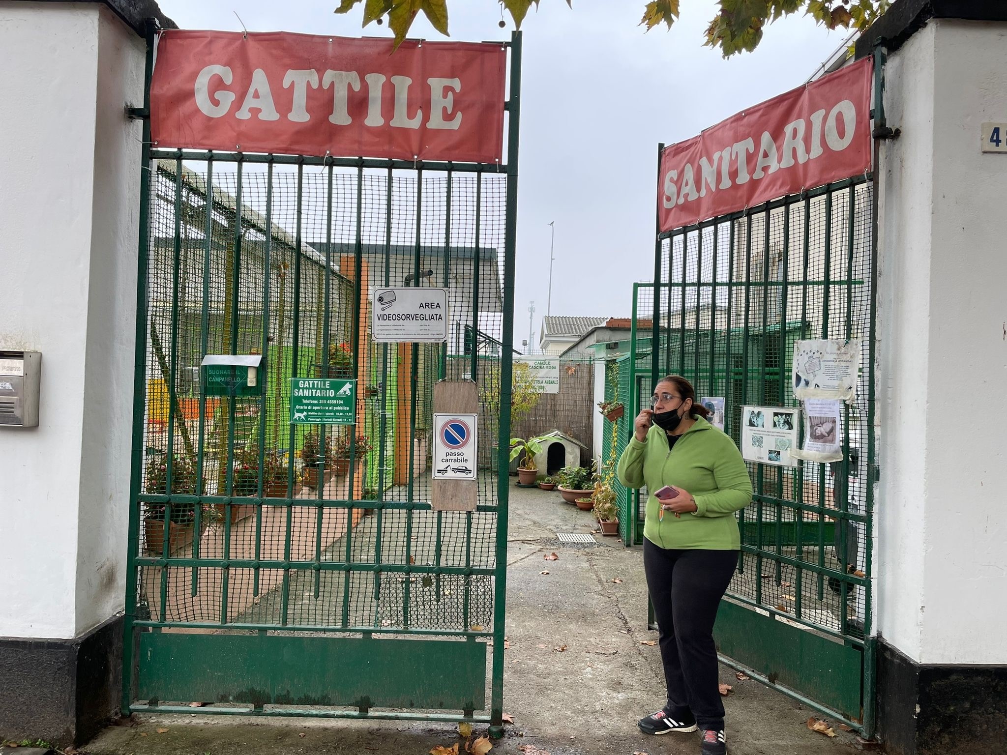 Domenica 22 febbraio apertura straordinaria del gattile per la “Giornata del gatto”