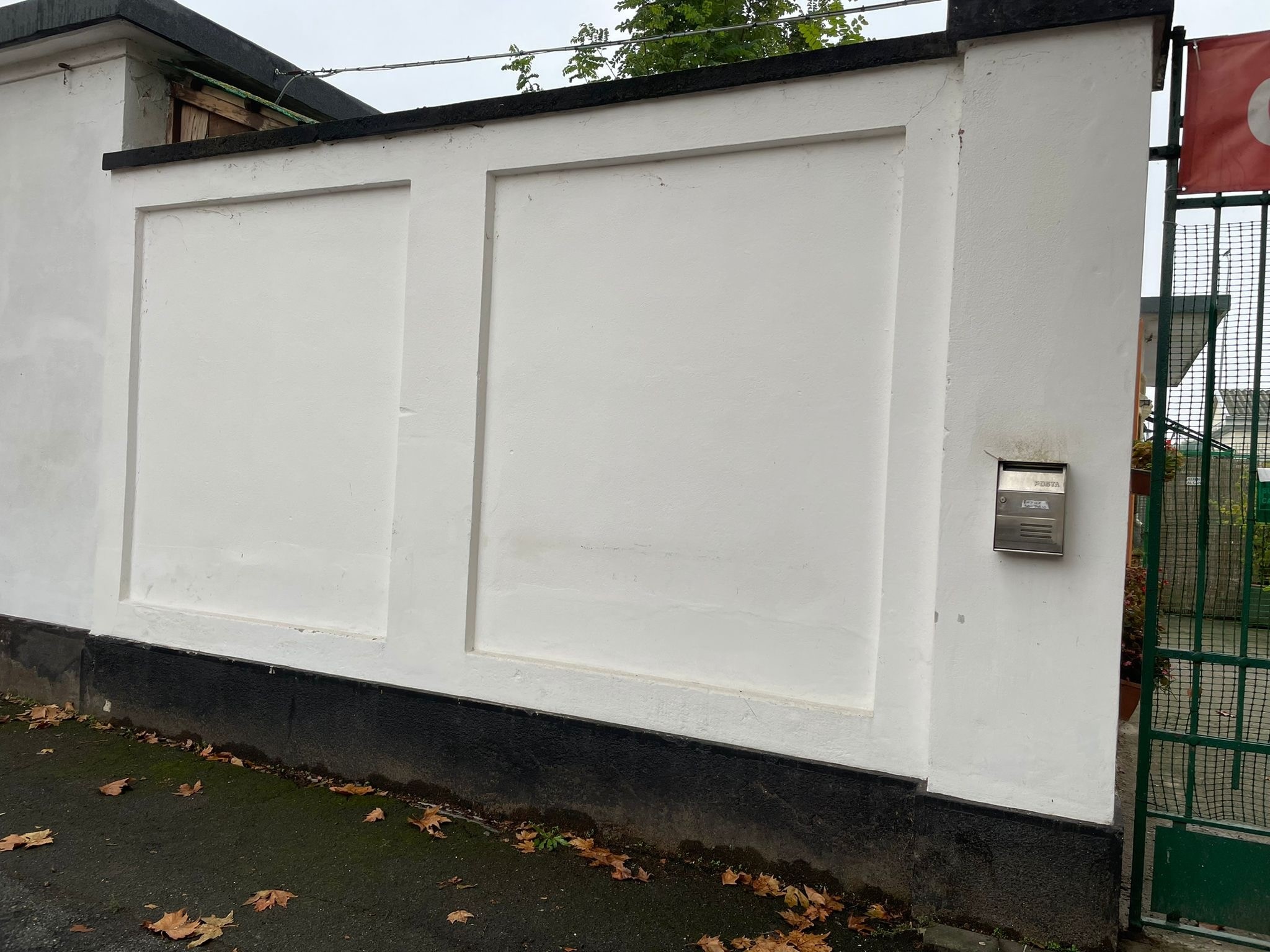 Il murale al gattile di Alessandria si farà: attesi i primi bozzetti per poi realizzare l’opera