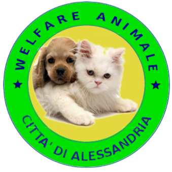 Non Abbandonarmi: alle 18.20 su Radio Gold Tv raccontiamo come funziona l’ufficio Welfare Animale