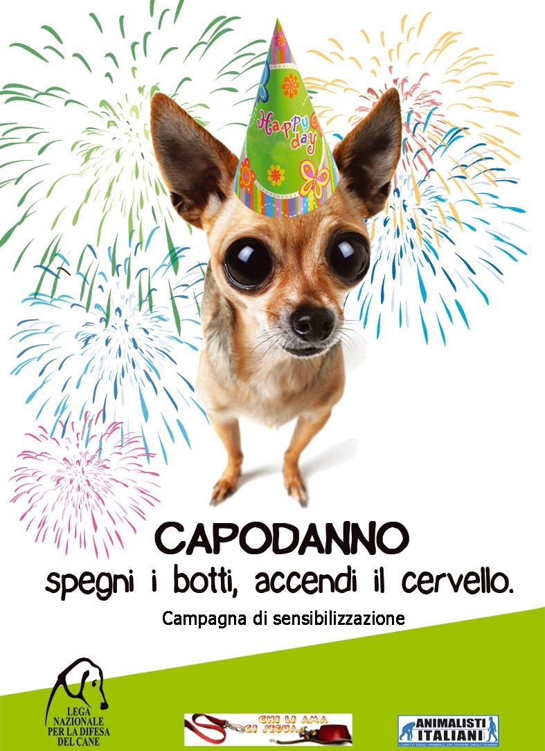 Non Abbandonarmi rilancia l’appello contro i botti di Capodanno