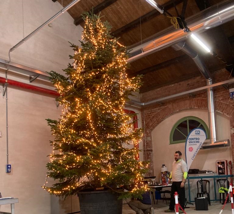 Un albero di Natale al Centro Vaccini della Caserma Valfrè di Alessandria