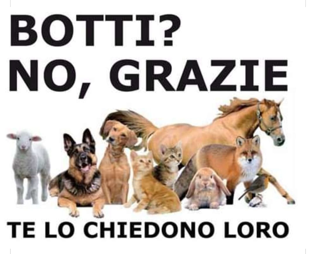 Anche Valenza vieta i botti di fine anno a tutela degli animali