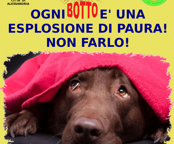 Il Comune dà il via alla campagna di sensibilizzazione contro i botti di fine anno