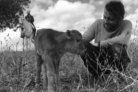 A Casale Monferrato le riprese del film Animale/Umano di Alessandro Pugno