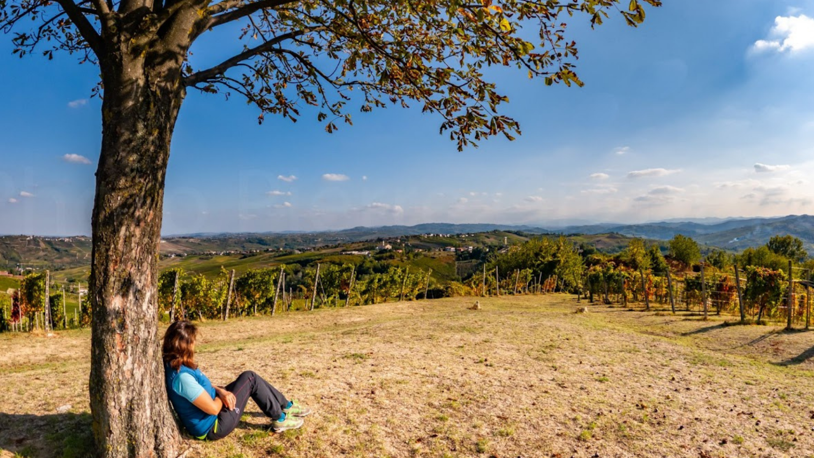 Colombera e Montarzolo: anello in Oltrepò tra vigneti e crinali