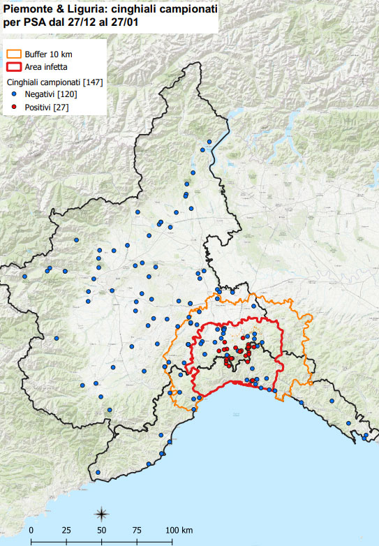 Aggiornamento peste suina: al 27 gennaio sono 27 i casi positivi accertati