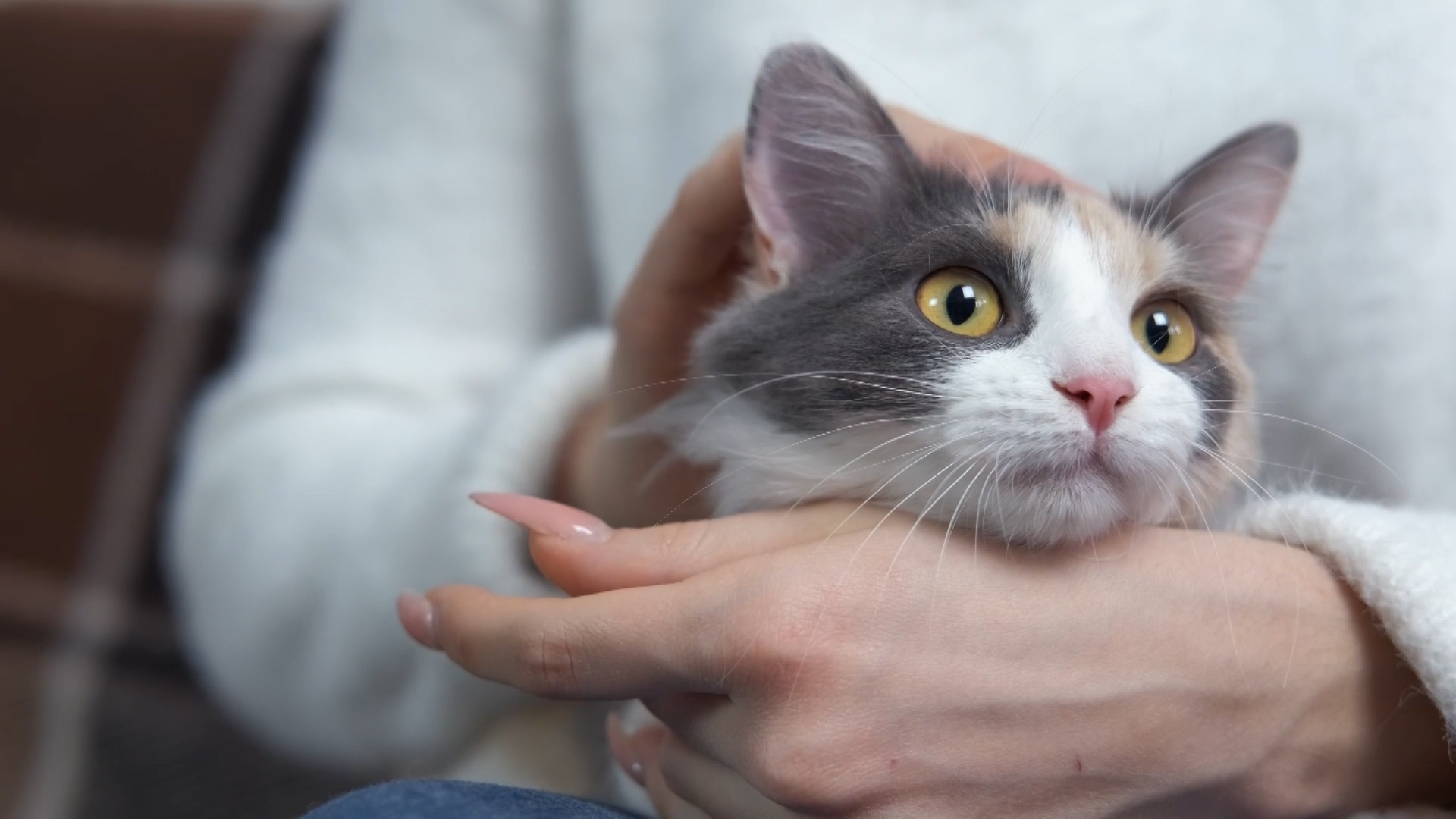 Pet love: le vostre foto che raccontano l’amore per gli animali