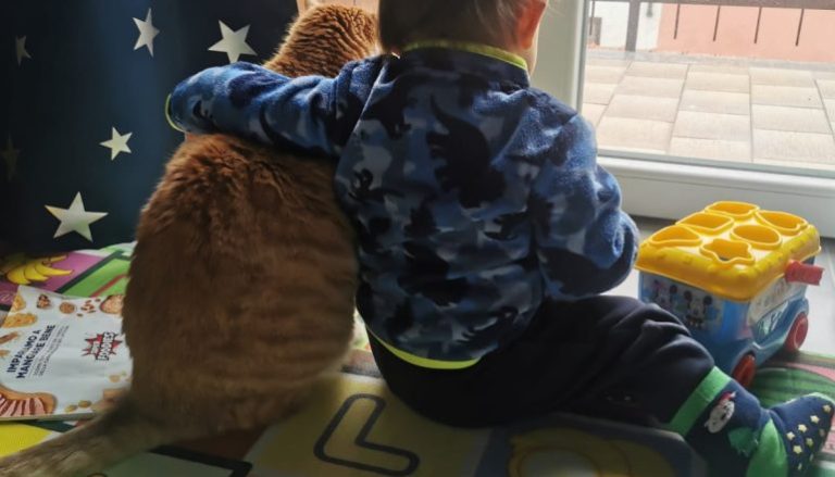 Pet Love: la foto vincitrice del concorso e tutti i vostri scatti che raccontano l’amore per gli animali