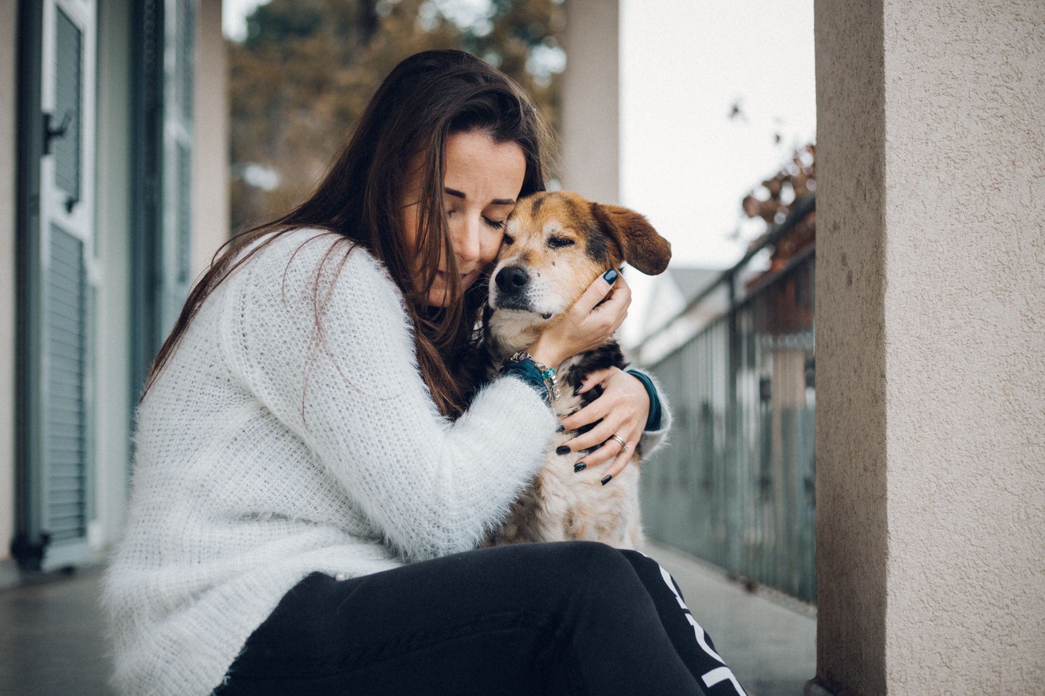 Torna “Pet Love”: mostrateci quanto volete bene ai vostri amici a 4 zampe