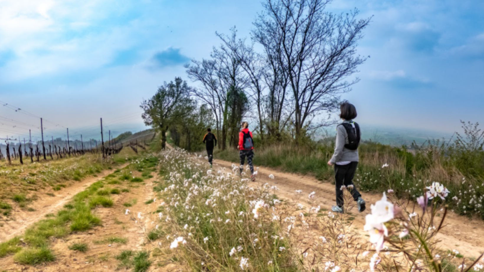 Trekking sull’anello di San Biagio, santo protettore del mal di gola