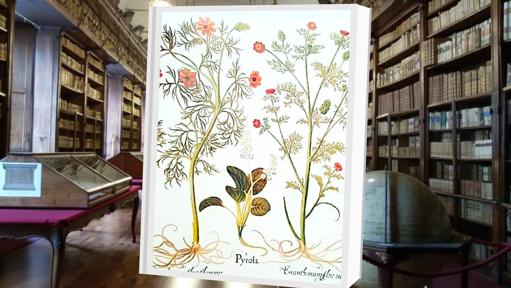 Biblioteca dell’Orto Botanico: una visita guidata insieme al FAI