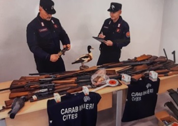 Nove persone denunciate per detenzione di specie protette e 20 mila euro di multe: il 2021 dei Carabinieri Forestali