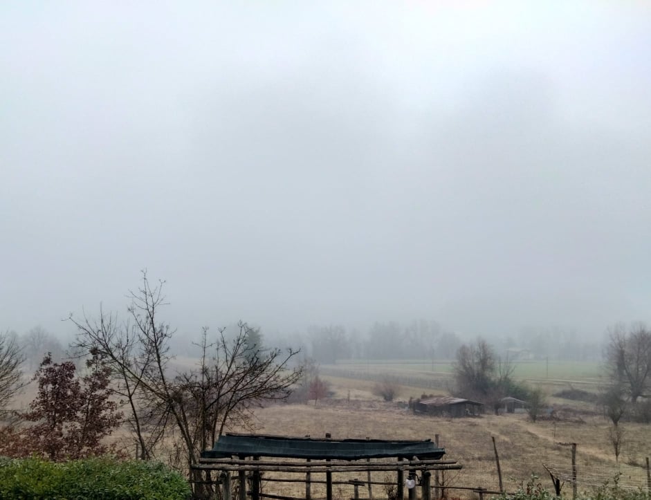 Nebbia in pianura ma tornano anche il vento e la neve sulle Alpi di confine