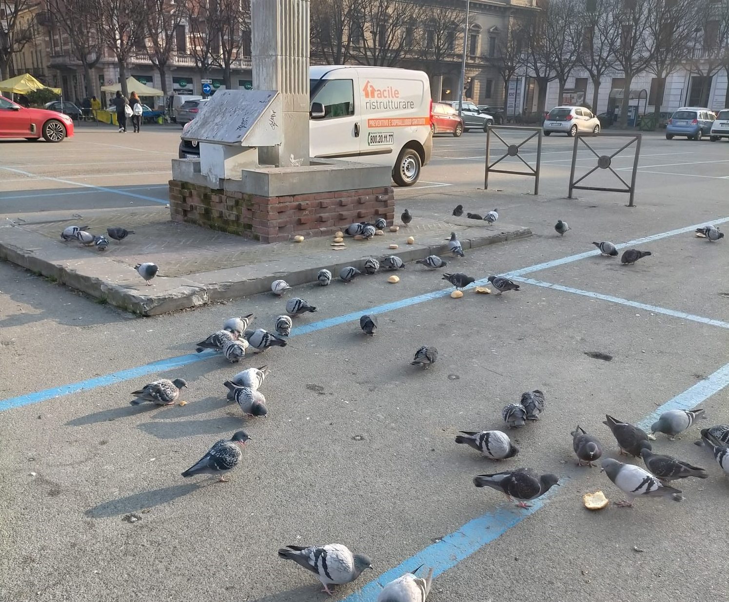 Il monumento di Rattazzi deturpato dai piccioni ma la colpa è dell’uomo