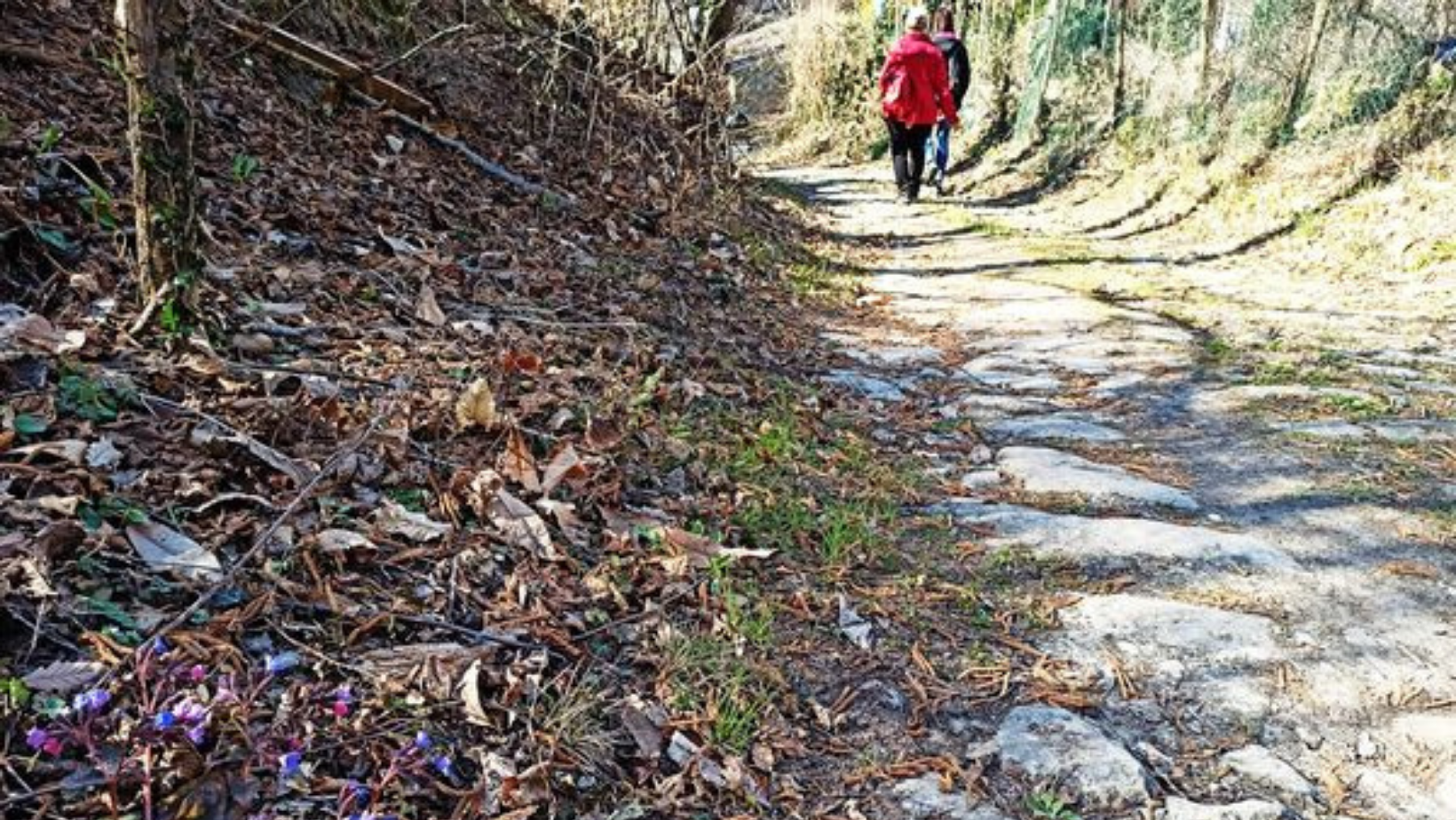 Antiche strade nel castagneto: l’escursione del sabato a Pizzocorno