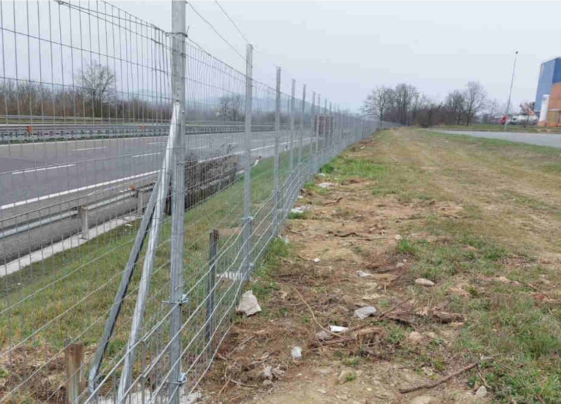 Domani l’installazione dei primi metri di rete anti peste suina: si parte da Ponzone