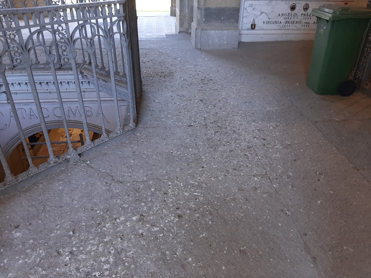 Guano di piccione tra le tombe e lungo i marciapiedi: la segnalazione al Cimitero di Alessandria