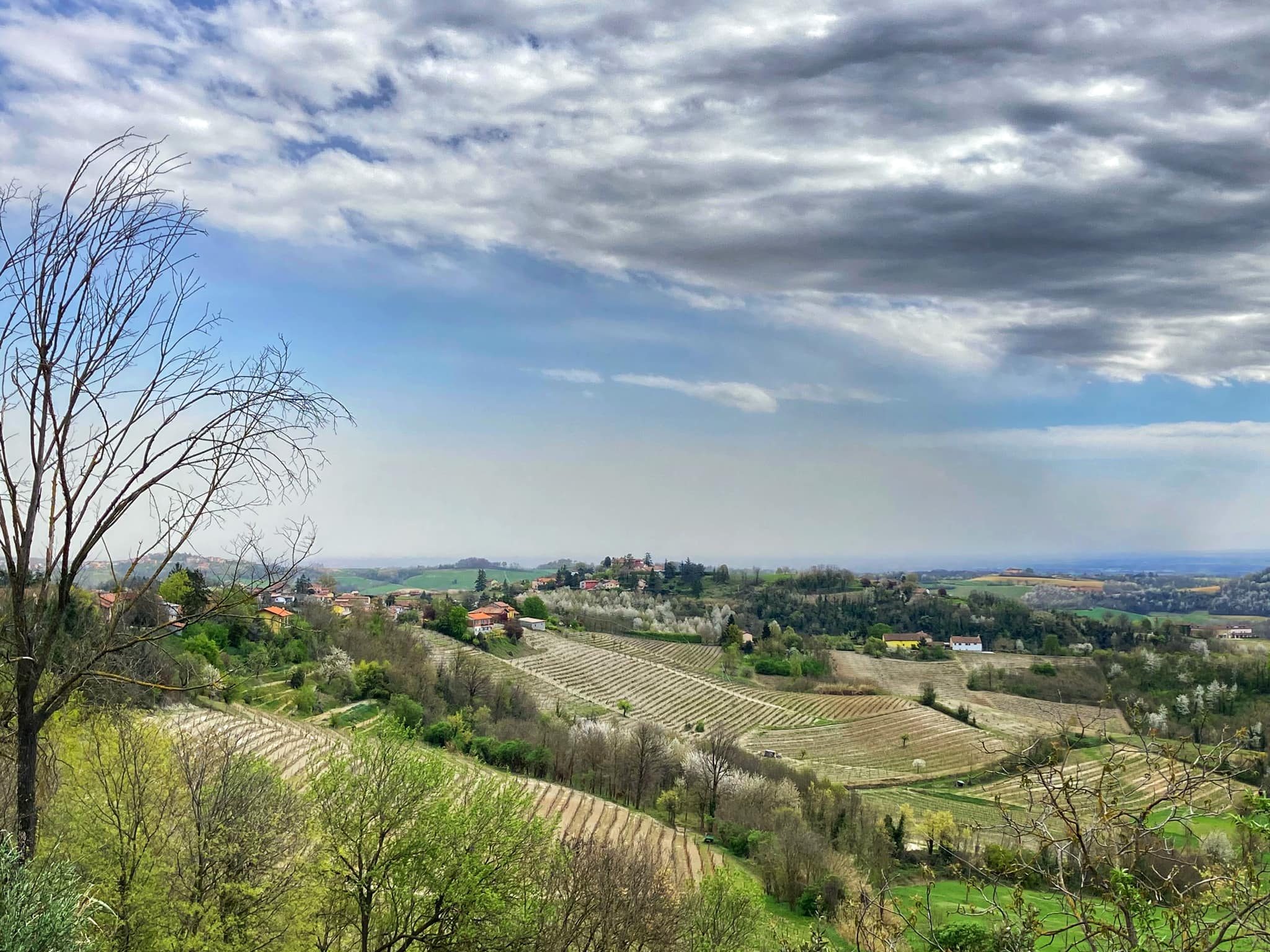 Nube di polvere offusca il cielo ad Alessandria [LE VOSTRE FOTO]