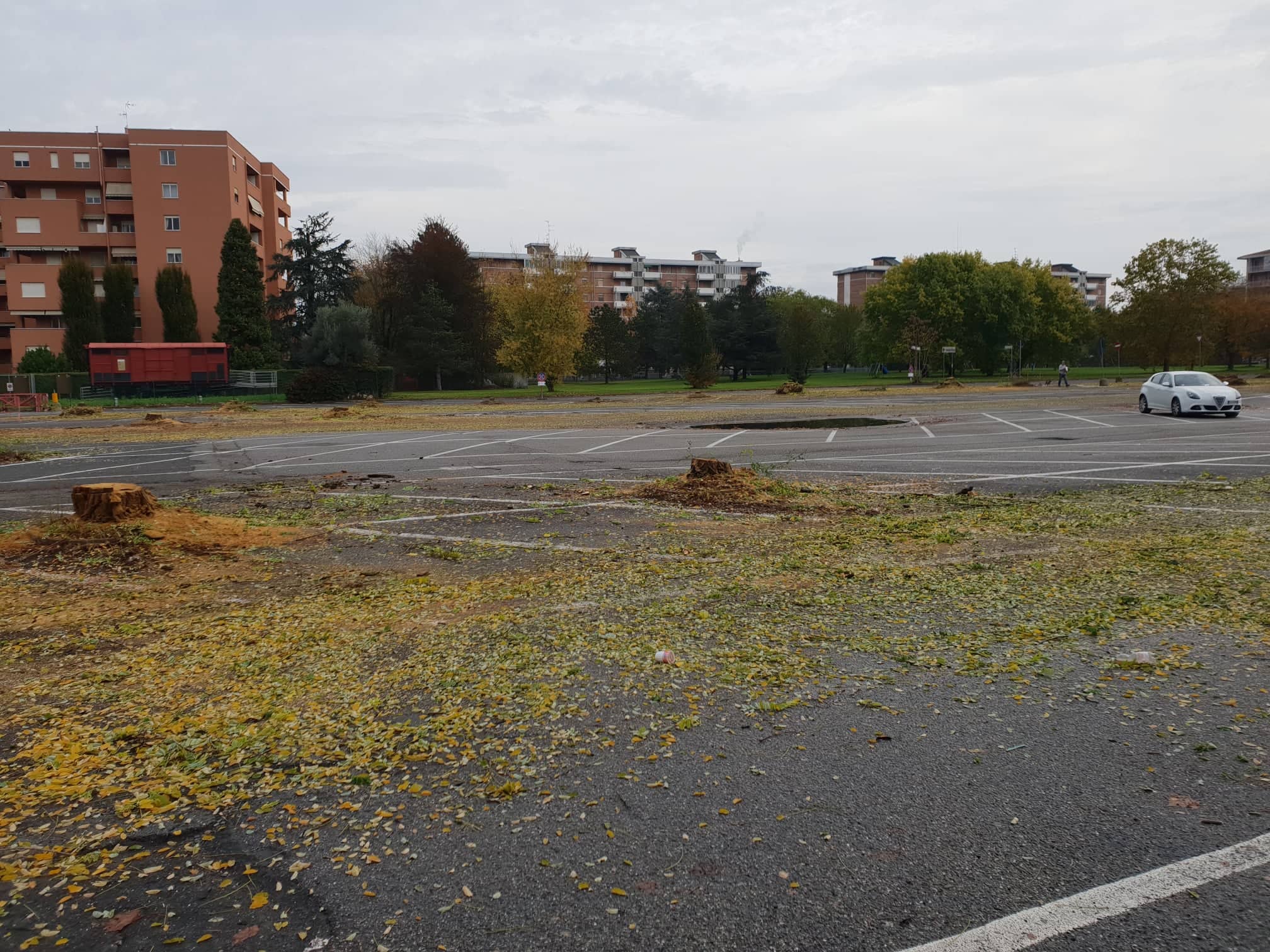 Corridoi verdi, piantumazioni e giardini verticali: “Così Alessandria può combattere inquinamento e caldo”
