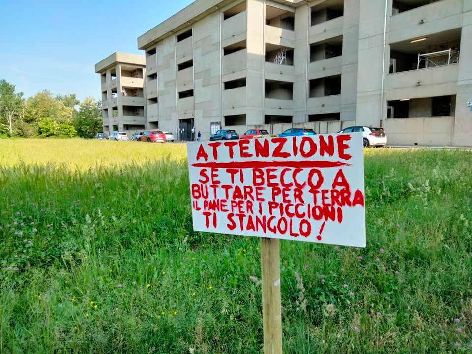 Cartello minaccioso contro chi dà cibo ai piccioni davanti al cimitero