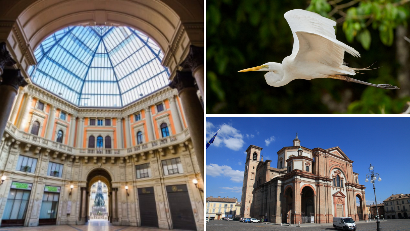 Cosa fare in provincia di Pavia. Gli eventi di sabato 21 maggio