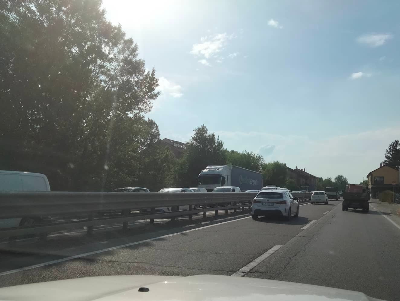 Pecore invadono la carreggiata e mandano in tilt il traffico tra Spinetta e Alessandria