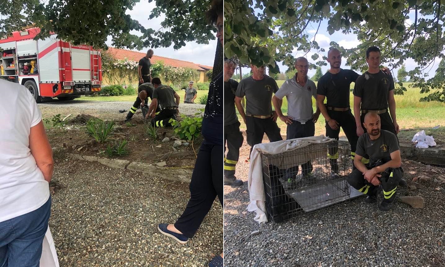 Il cagnolino rimane incastrato in un cunicolo sotto terra: salvato dai Vigili del Fuoco