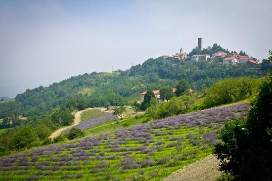 “La vita difficile” dei piccoli comuni non turistici in collina