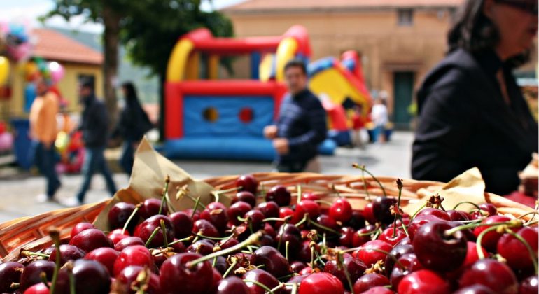 Cosa fare in provincia di Alessandria. Gli eventi di domenica 22 maggio
