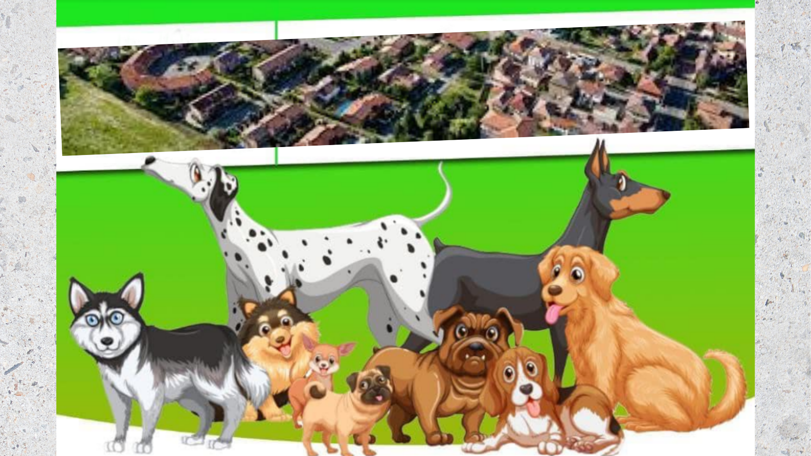 San Genesio e Uniti: festa della Repubblica all’insegna del “dog show”