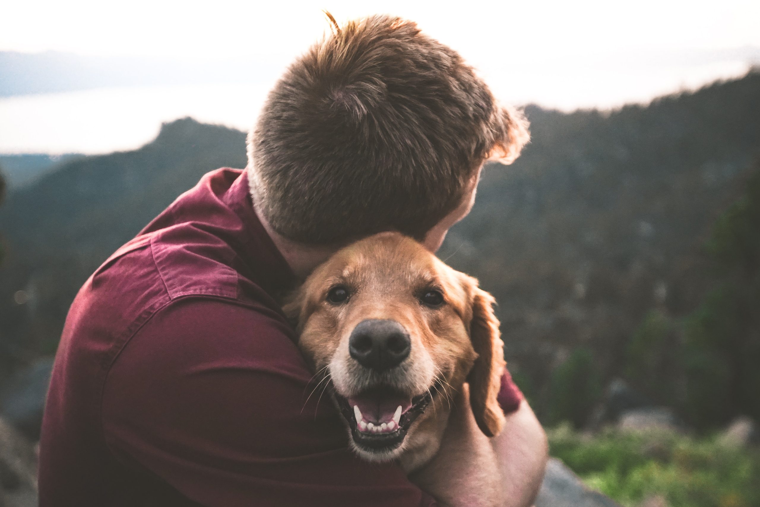 Torna la Pet Therapy nelle strutture sanitarie dopo lo stop per il covid