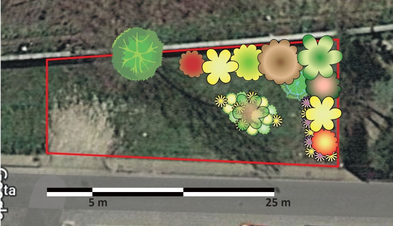 Ad Alessandria via ai lavori per la creazione di un giardino-foresta in lungo Tanaro Magenta