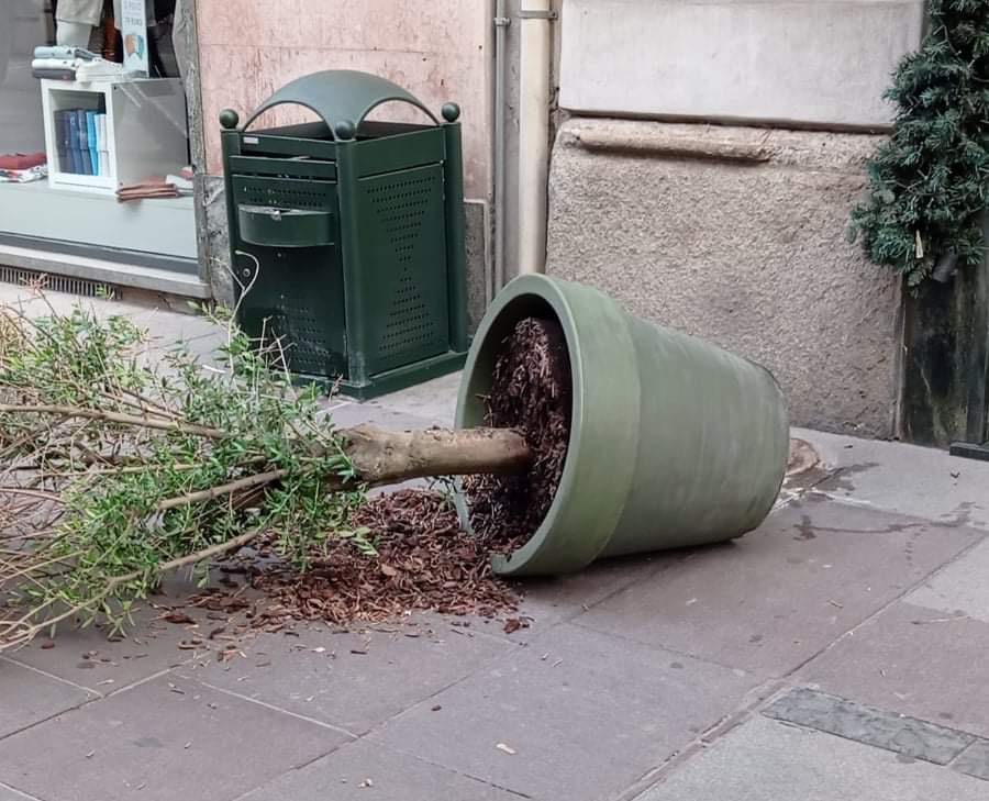 Vasi rovesciati e tavolini ribaltati: ancora inciviltà in centro ad Alessandria