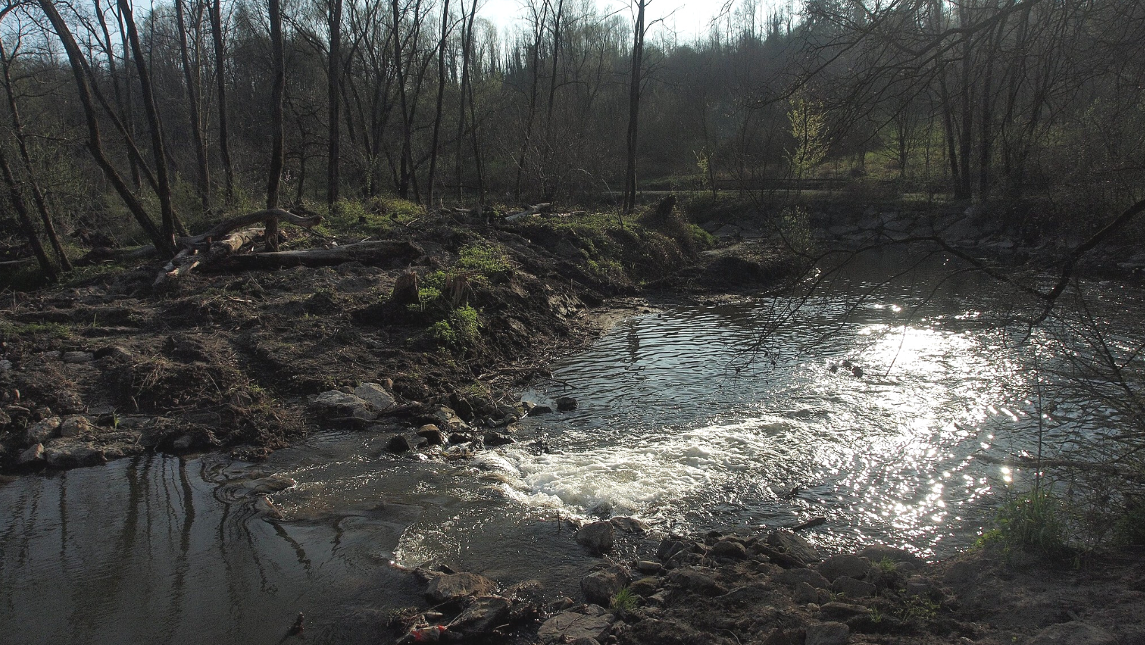 Sulle rive del Lambro per scoprire le erbe di San Giuàn