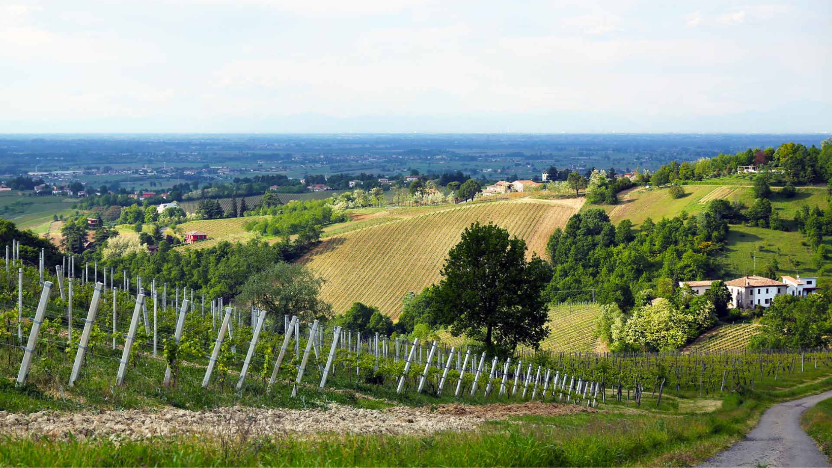 Quale musica per i vini d’Oltrepò? A Casteggio l’incontro con un “sound sommelier”