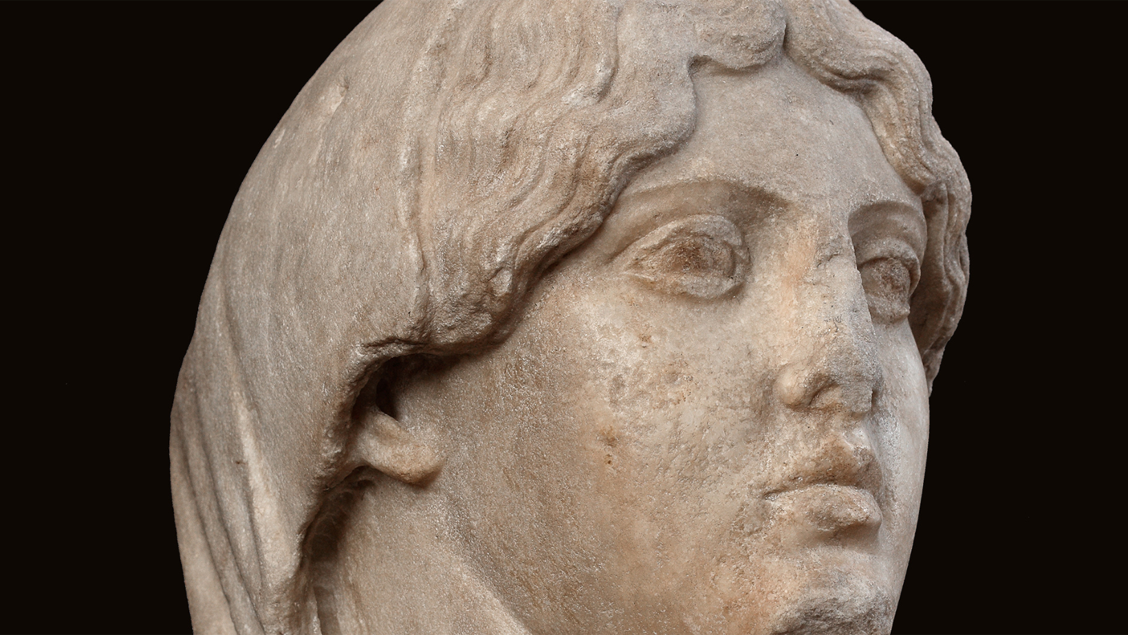 Torna Musei DiVini nel cortile dell’Università di Pavia