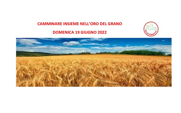 Domenica 19 giugno camminata tra i campi di grano a Pomaro Monferrato