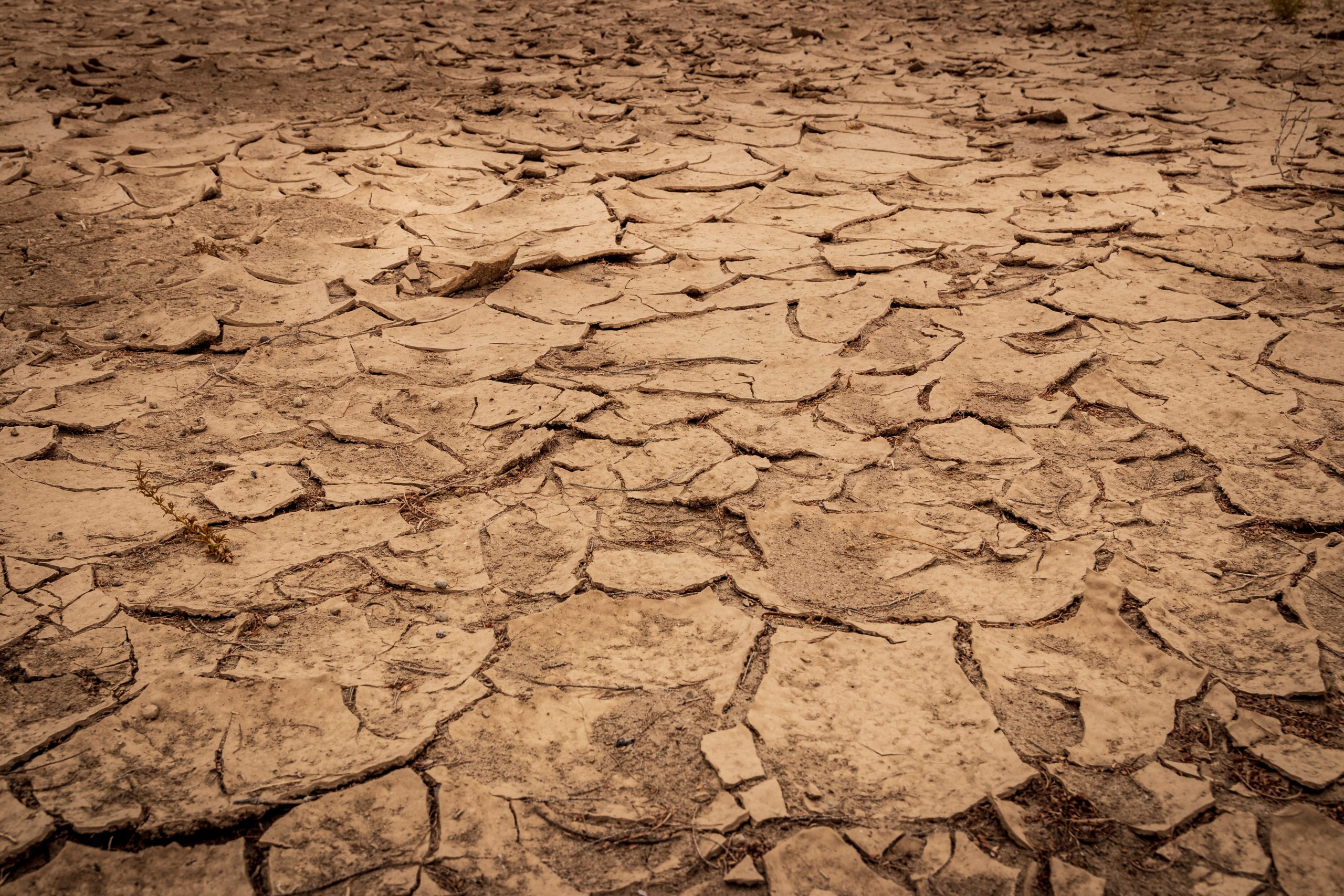 Emergenza siccità: in Piemonte 7,6 milioni di euro di aiuti