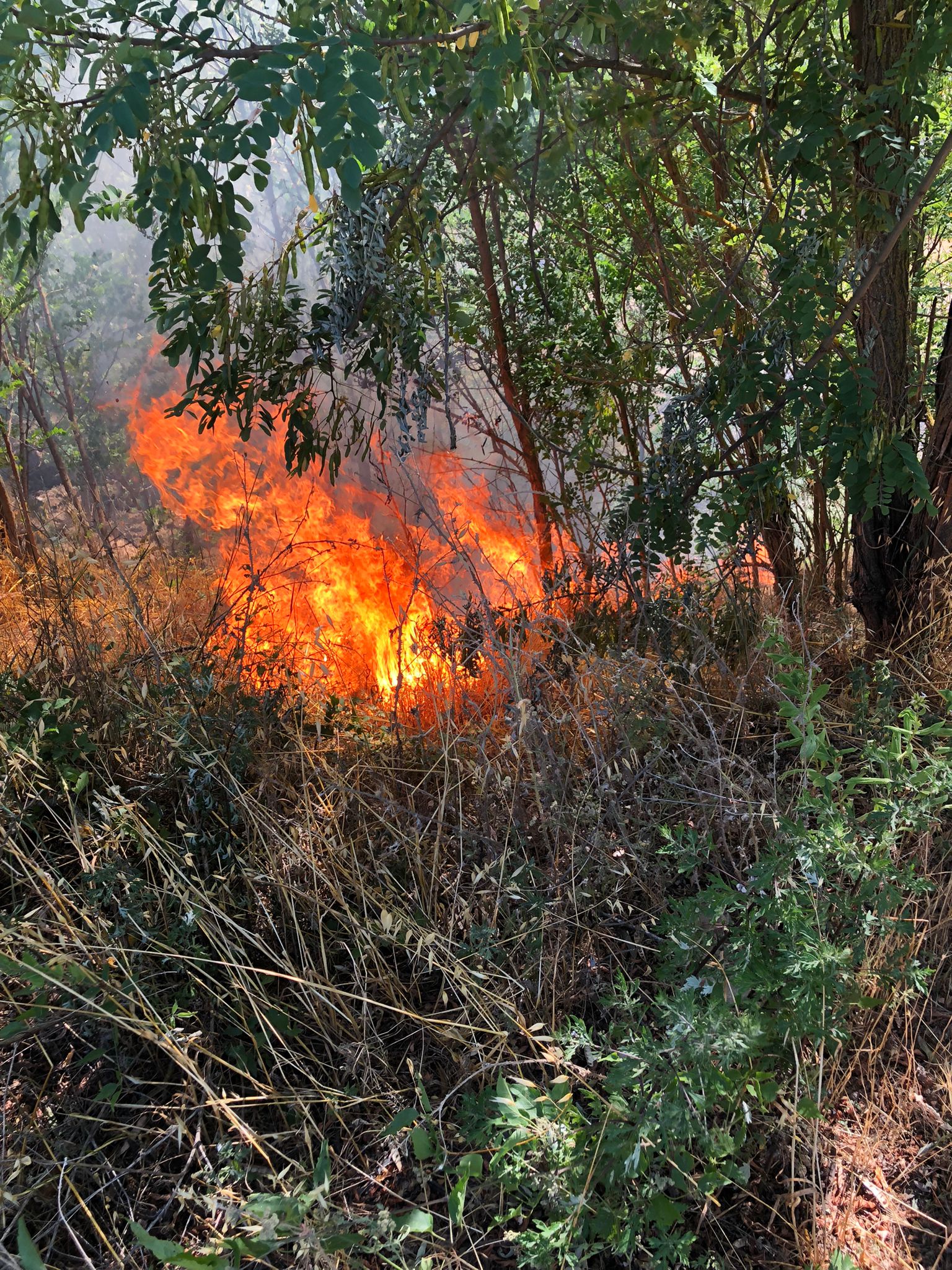 Vigili del Fuoco impegnati tutto il pomeriggio per spegnere roghi di sterpaglie