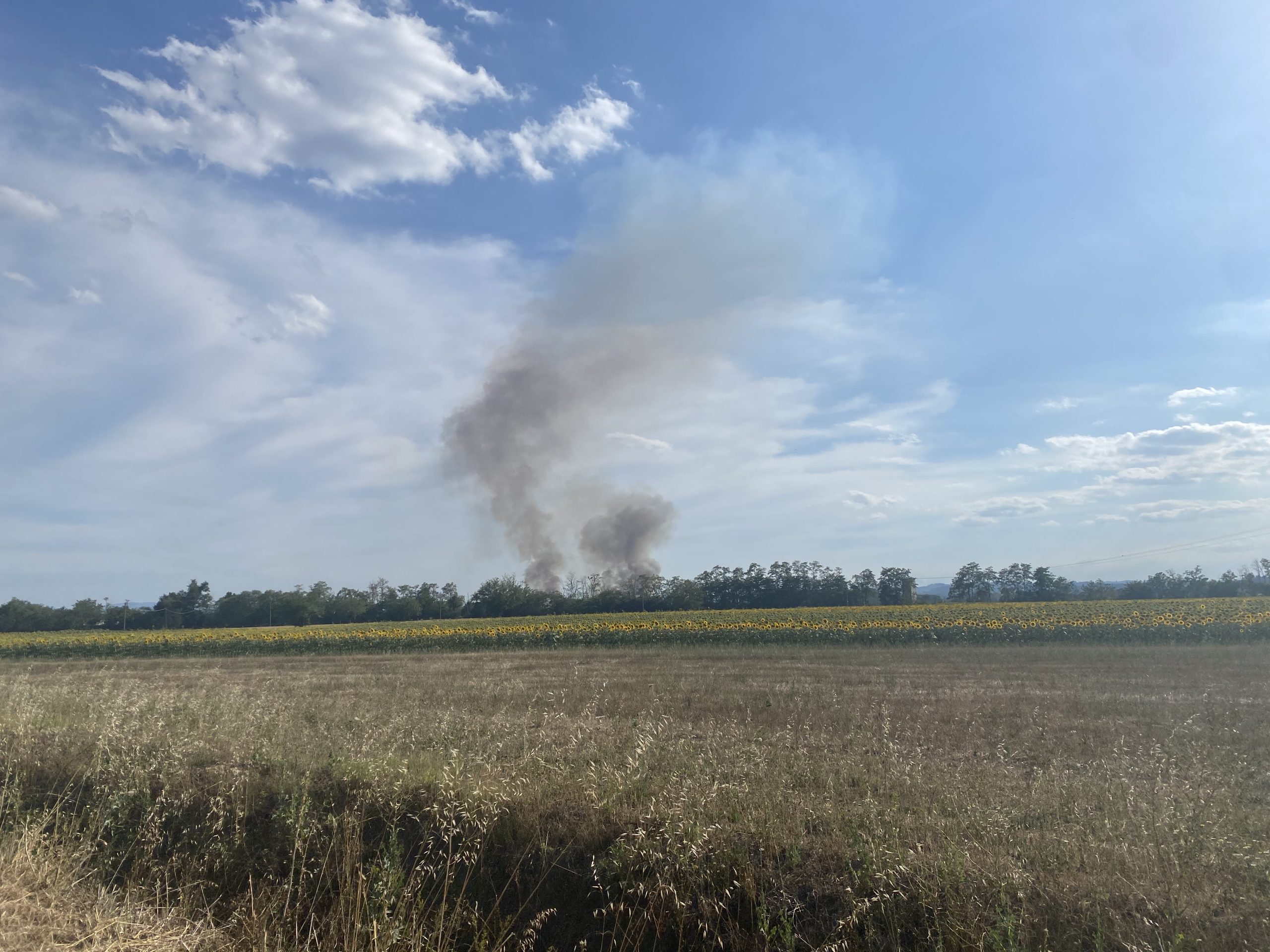 Incendio in un campo a Sezzadio