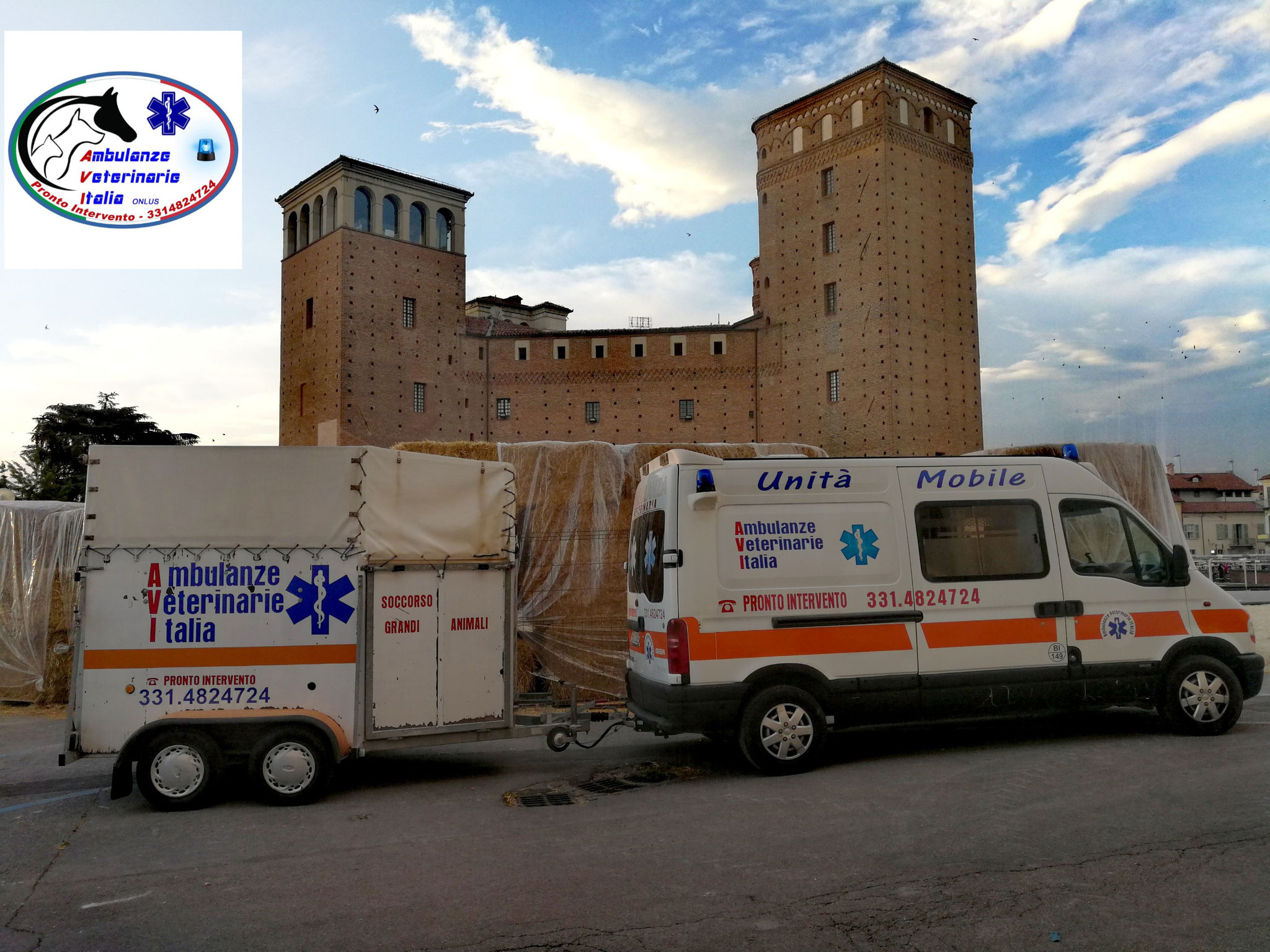 Ambulanza veterinaria, il nuovo progetto del gruppo “A tutta Zampa” al quartiere Cristo