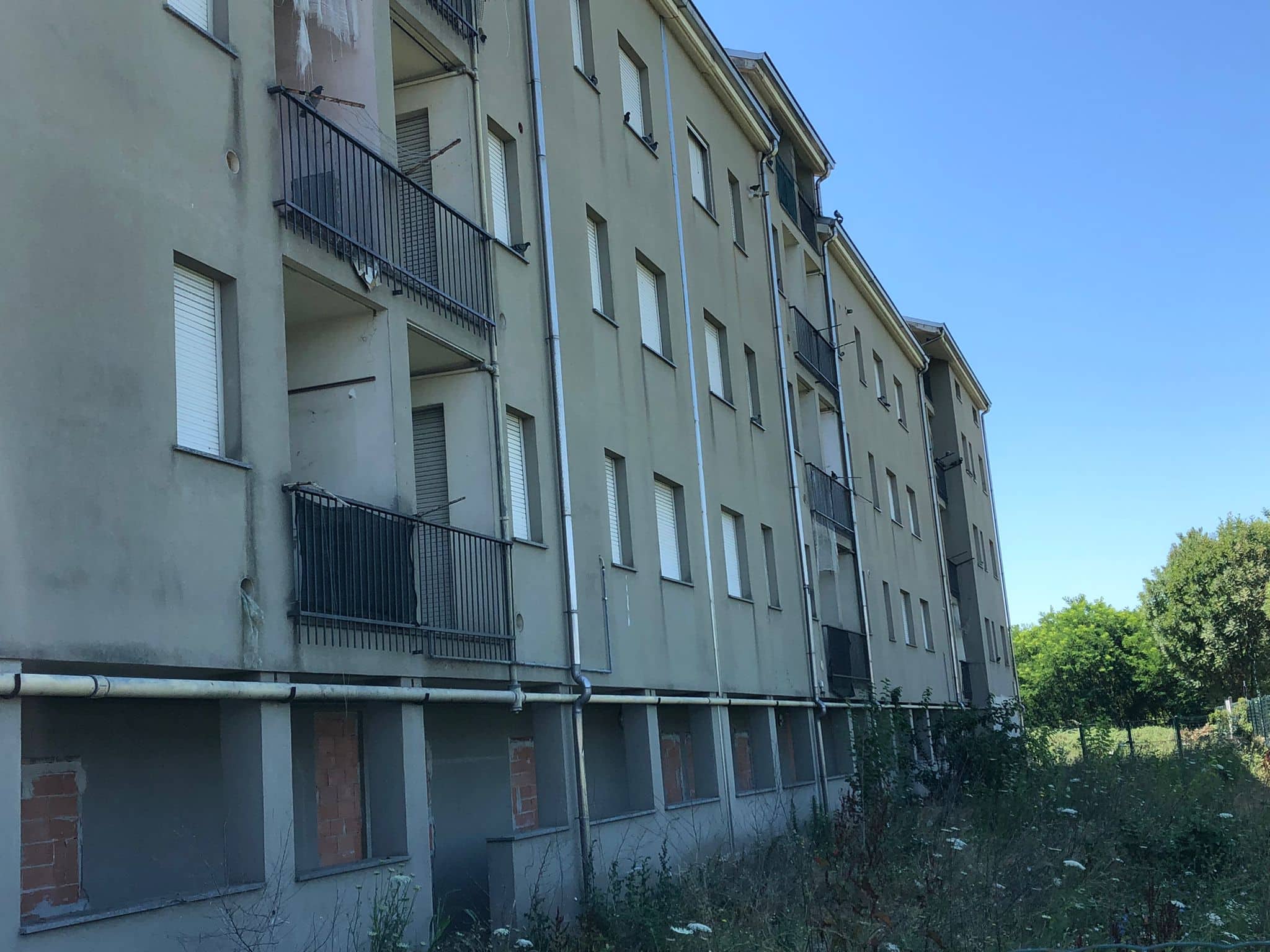 Palazzine di via Brodolini infestate dai piccioni: chiesto intervento del Comune