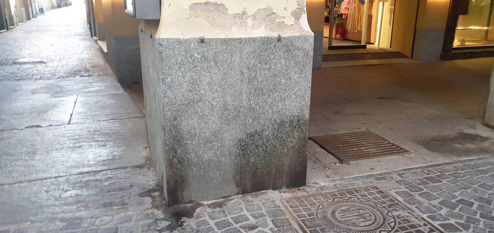 Riboldi contro i padroni maleducati dei cani: “Casale è pet friendly, ma alcuni proprietari…”