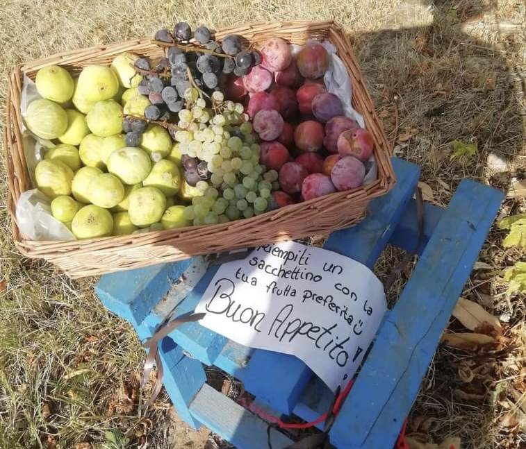 A Pietra Marazzi un cestino pieno di frutta per chi passa, senza chiedere nulla in cambio