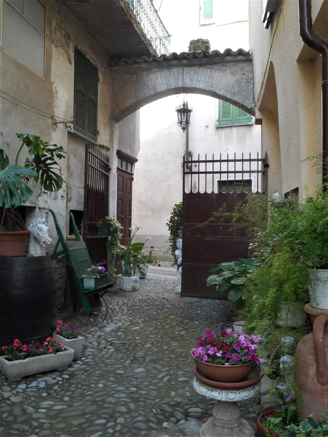 Il 21 agosto a Garbagna Enrico Magnano presenta “Il salto del delfino” per “Libri in scena…nei cortili”