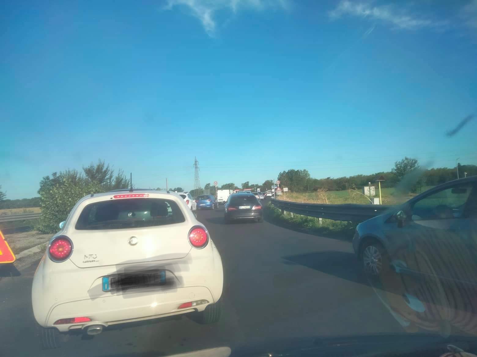 Disagi tra Spinetta e Alessandria e piante sulla tangenziale: tra una settimana incontro Comune-Anas
