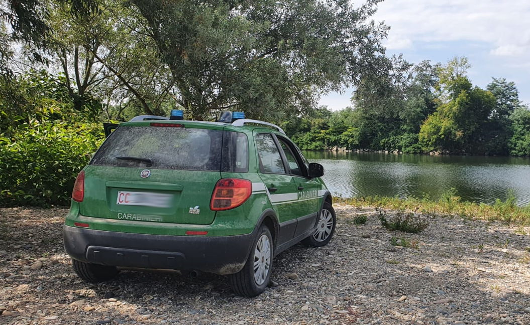 Denunciato agricoltore: prelevava acqua illegalmente dal fiume Sesia